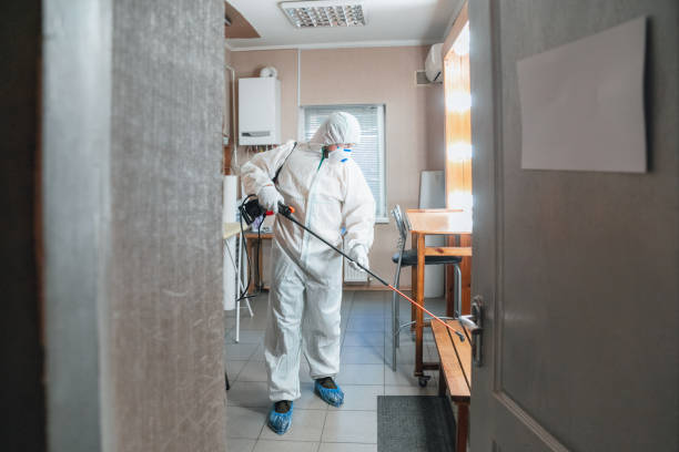 Best Real Estate Mold Inspection  in Marion, AL