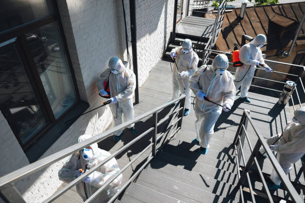 Best Industrial Mold Remediation  in Marion, AL