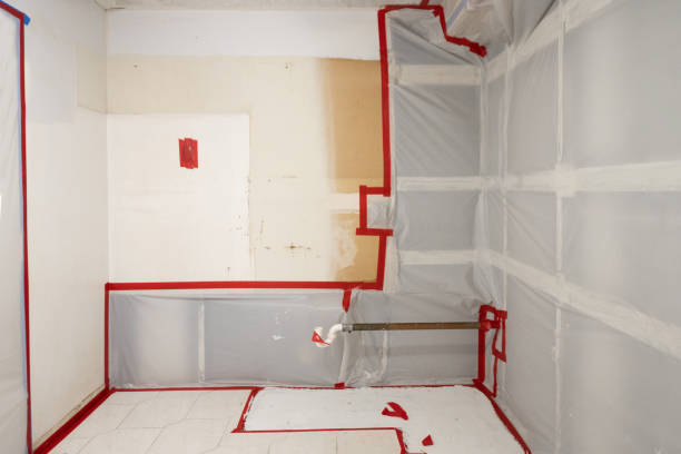 Best HVAC Mold Inspection and Cleaning  in Marion, AL